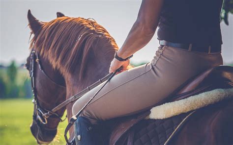 geil reiten|Wie man einen Mann reitet (10 effektive Tipps)